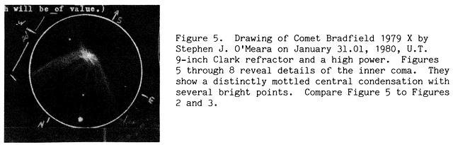 C/1979 Y1 (Bradfield) 1980-Jan-31 Steve O'Meara