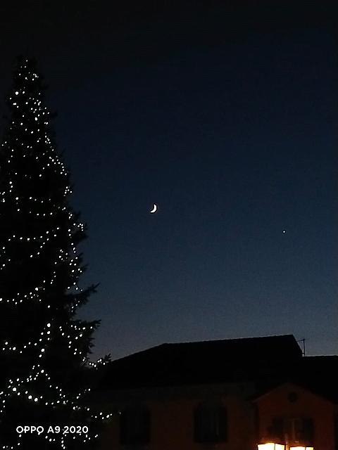 Moon-ChristmasTree 2021-12-07-1643-FV