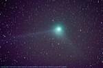 Comets Discovered in 2004