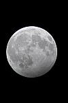 PENUMBRAL-Lunar-Eclipse 2024-03-25-0700 RRP