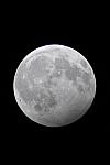 PENUMBRAL-Lunar-Eclipse 2024-03-25-0711 RRP