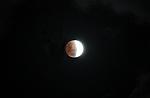 Partial Lunar Eclipse 2021-11-19 0953UT Canon1200D IMG 7431 MCollins