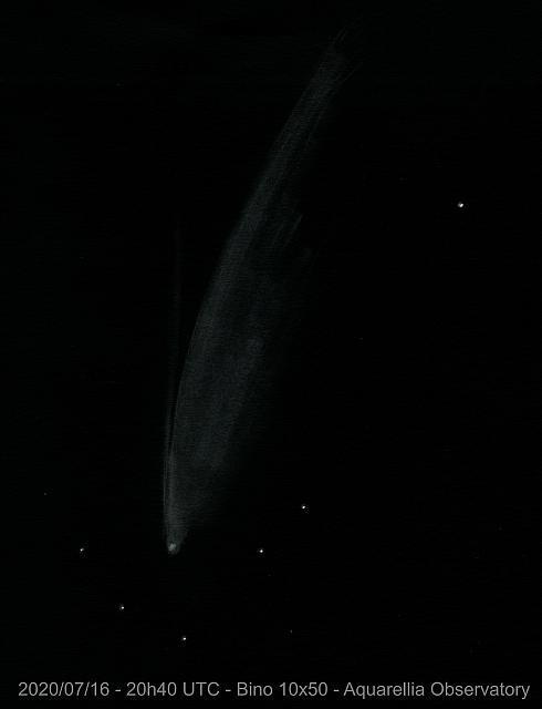 C/2020 F3 (NEOWISE) 2020-Jul-16 Michel Deconinck