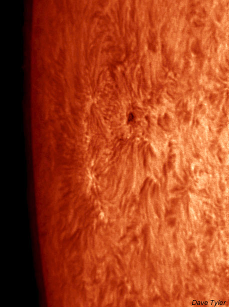 sun2007-may29 1205 dbvt sp 0958 col