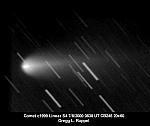 Comets Discovered in 1999