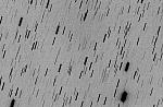 C/2021 A10 (NEOWISE) 2021-Feb-08 Michael Jäger