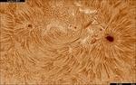 sol-14-07-07-1fmc