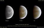 Venus 2023-2024